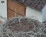 Capi_Dubne_20260820_121004.jpg