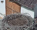 Capi_Dubne_20260820_122003.jpg