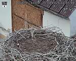 Capi_Dubne_20260820_124504.jpg