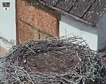 Capi_Dubne_20260820_131002.jpg