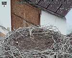 Capi_Dubne_20260820_132004.jpg