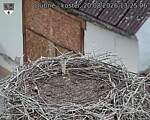 Capi_Dubne_20260820_132506.jpg