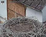Capi_Dubne_20260820_133002.jpg