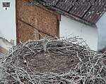 Capi_Dubne_20260820_134004.jpg