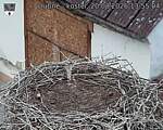 Capi_Dubne_20260820_135504.jpg