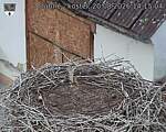 Capi_Dubne_20260820_141504.jpg