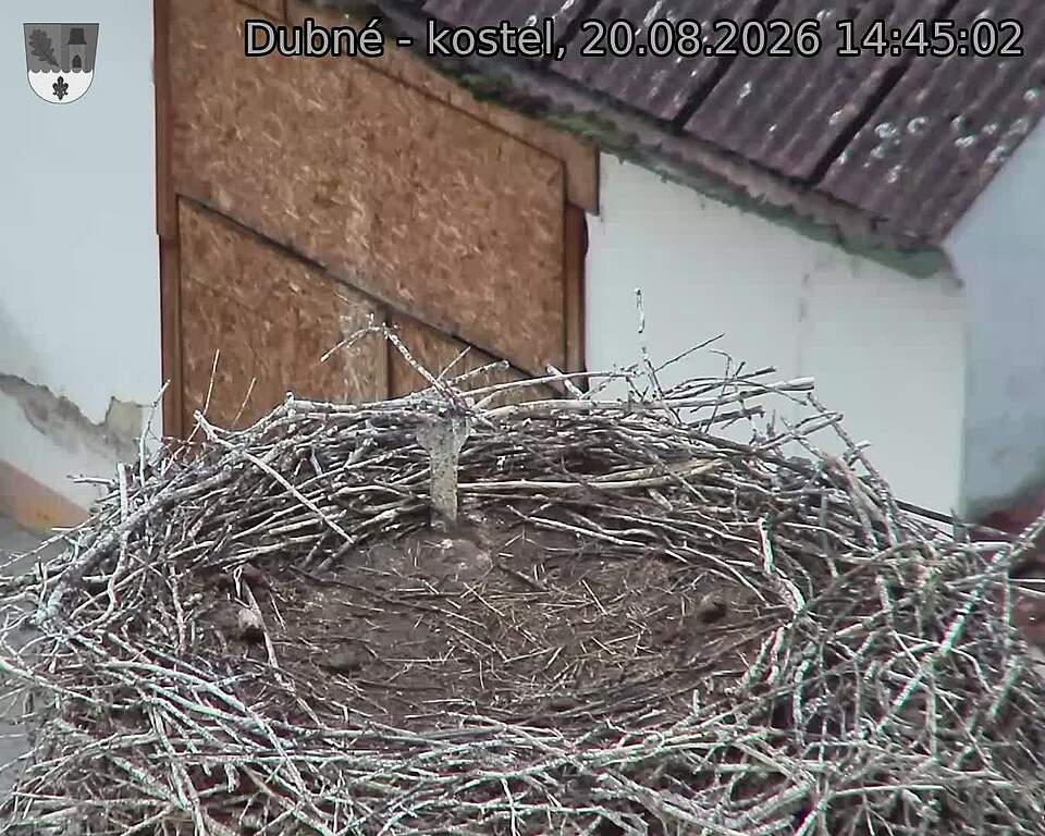 preload