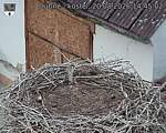 Capi_Dubne_20260820_144502.jpg