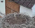 Capi_Dubne_20260820_145503.jpg
