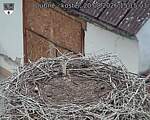Capi_Dubne_20260820_151503.jpg