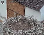 Capi_Dubne_20260820_152003.jpg