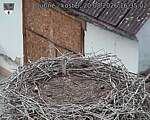 Capi_Dubne_20260820_163502.jpg