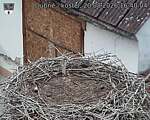 Capi_Dubne_20260820_164004.jpg