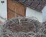 Capi_Dubne_20260820_165004.jpg