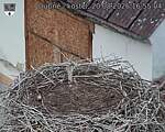 Capi_Dubne_20260820_165504.jpg