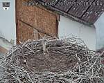 Capi_Dubne_20260820_180004.jpg