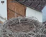 Capi_Dubne_20260820_183504.jpg
