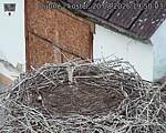 Capi_Dubne_20260820_195003.jpg