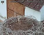 Capi_Dubne_20260820_195504.jpg