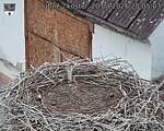 Capi_Dubne_20260820_200503.jpg