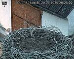 Capi_Dubne_20260820_202502.jpg