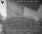 Capi_Dubne_20260820_204002.jpg
