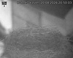 Capi_Dubne_20260820_205003.jpg