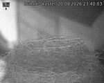 Capi_Dubne_20260820_234003.jpg