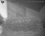 Capi_Dubne_20260821_020503.jpg