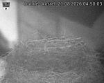 Capi_Dubne_20260821_045003.jpg