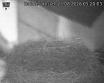 Capi_Dubne_20260821_052003.jpg