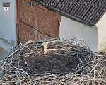 Capi_Dubne_20260821_065503.jpg