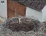 Capi_Dubne_20260821_080503.jpg