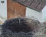 Capi_Dubne_20260821_084004.jpg