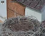 Capi_Dubne_20260821_111003.jpg