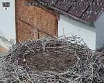 Capi_Dubne_20260821_120004.jpg