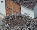 Capi_Dubne_20260821_121504.jpg