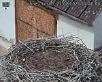 Capi_Dubne_20260821_124004.jpg