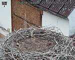 Capi_Dubne_20260821_142003.jpg