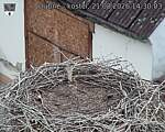 Capi_Dubne_20260821_143003.jpg