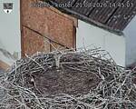Capi_Dubne_20260821_144503.jpg