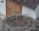 Capi_Dubne_20260821_145503.jpg