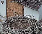 Capi_Dubne_20260821_154504.jpg