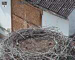 Capi_Dubne_20260821_155004.jpg