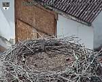 Capi_Dubne_20260821_155502.jpg