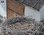 Capi_Dubne_20260821_160005.jpg