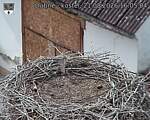 Capi_Dubne_20260821_160504.jpg