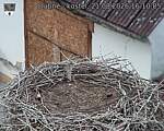 Capi_Dubne_20260821_161005.jpg
