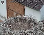 Capi_Dubne_20260821_161504.jpg