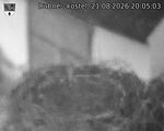 Capi_Dubne_20260821_200503.jpg